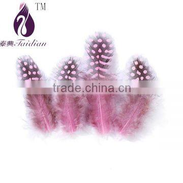 wholesale cheap guinea fowl feathers,Dyed guinea hen plumage feathers