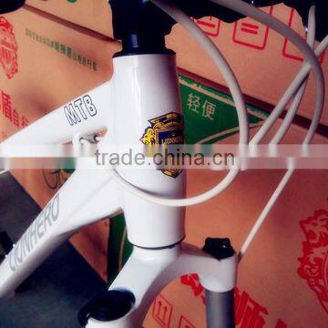 White Aluminum Alloy Frame Mountain Bicycle/bike for Sale photo-5