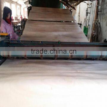 Rengas Veneer photo-4