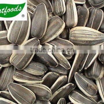 long and round type sunflower seeds