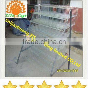 china zisa factory Atype quail cage equipment