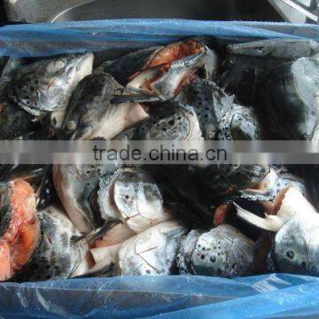 ATLANTIC SALMON HEADS