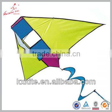 Chinese box delta kite