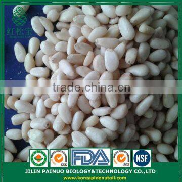 Wholesale Artificial Selection Cedar Pine Nut Kernels in Bulk