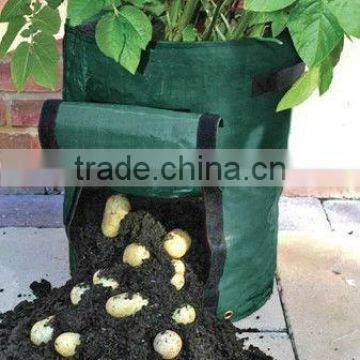 grow bag, potato grow bag, strawberry grow bag.