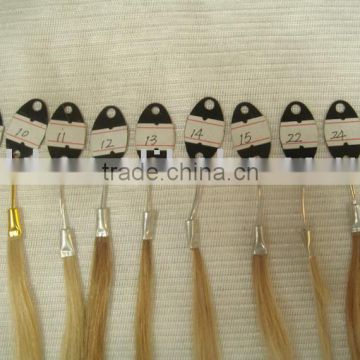 Human Hair Color Plate