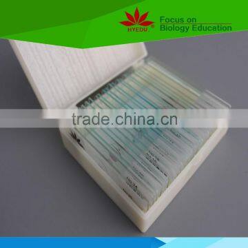 Direct Factory Individual Bacteria Microbiology Prepared Microscope Slides photo-4