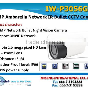 IW-P3056GAT 2.0MP Network IR Bullet CCTV Camera