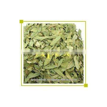 Senna Leaves No. 3 photo-4