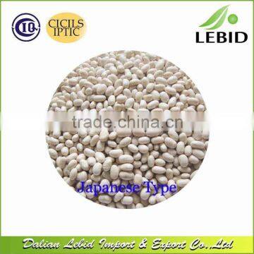 Heilongjiang Origin Japanese Type White Kidney Beans Low Price