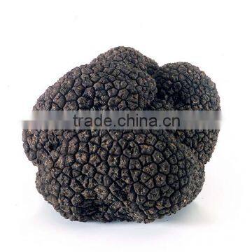 Truffle/Truffe