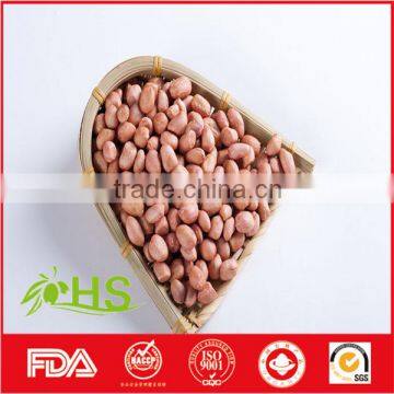 2016 New Crop Fresh Blanched Peanut Kernels photo-5