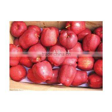 2015 crop red delicious apple/huaniu apple