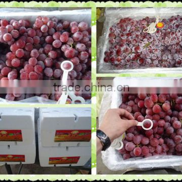 Chinese fresh grapes price