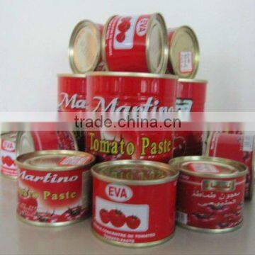 Tinned Tomato paste with different packing