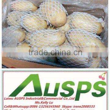 china yellow fresh potato price