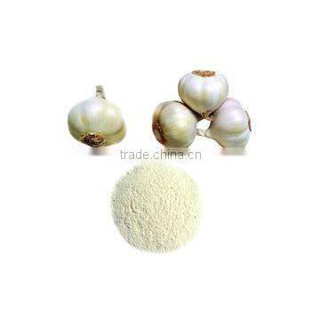 2016 High Quality Dehydrated Garlic Granules photo-4