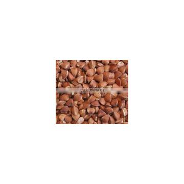 Organic Buckwheat Extract Powder