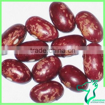 Red Speckled Kidney Bean For American Market