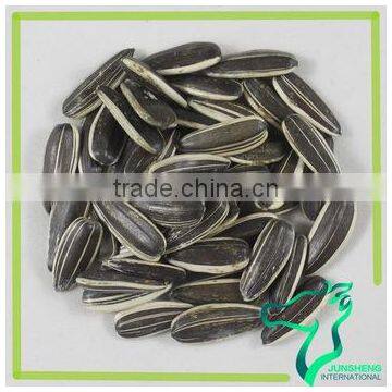 Roasted Iran Sunflower Seeds photo-5