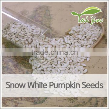 top quality pumpkin seeds snow white