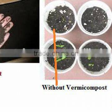 Vermicompost organic fertilizer For Indoor Plants, Ornamental Plants ,