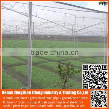 best selling hdpe with uv greenhouse insect net , plastic agriculture pe anti-insect net , nylon insect net with low price