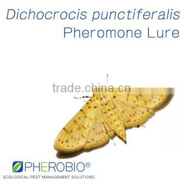 Pheromone Lure for Dichocrocis punctiferalis (Yellow Peach Moth), Pheromone Attractant