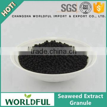 Improve configuration of soil granule, seaweed extract for seed treatment