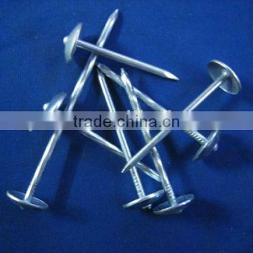 BWG9 2 1/2 galvanized umbrella roofing nails with smooth/twist shank