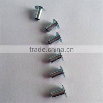China Supplier Hot Sale Aluminum Blind Rivet photo-3