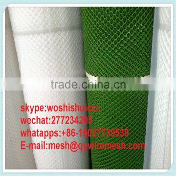 Design for Farm House HDPE Black Plastic Mesh/ Chicken Coop Wire Netting photo-4