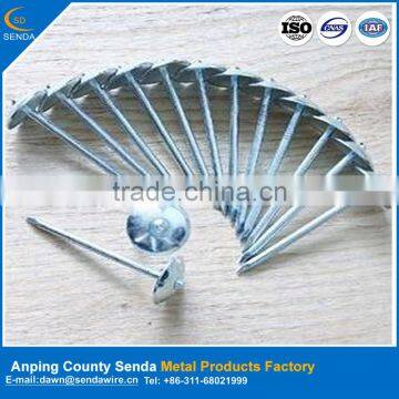 Umbrella Head Roofing Nails Galvanized Surface Treatment for Construction Application photo-3