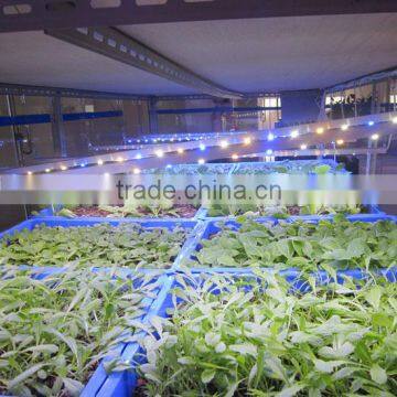 Mars-Hydro led grow light bar full spectrum led grow bar waterproof grow bar