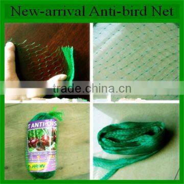 Hdpe Agricultural Bird Netting, Plastic Garden Bird Catch Net for Sale photo-6