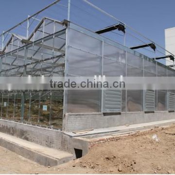 Commercial Flower Vegetable Polycarbonate Greenhouse