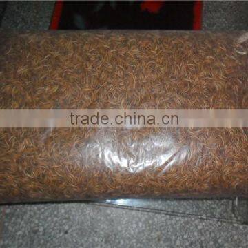 Pet Food Type Nutrient Mealworm, Tenebrio Molitor Chicken Feed photo-3
