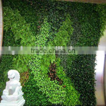 Environmental protection artificial green wall succulent plant wall