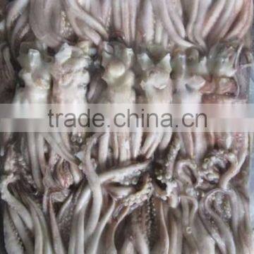 Price For Japanese Squid Tentacle