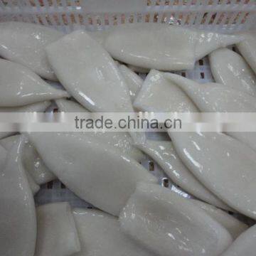 Frozen Frosh Good Illex Agentina Squid Tube photo-2