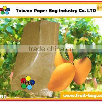 TPBI Taiwan high quality brown kraft mango protection growing paper bag mango moisture proof bag