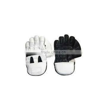 Wickets Keeper Gloves