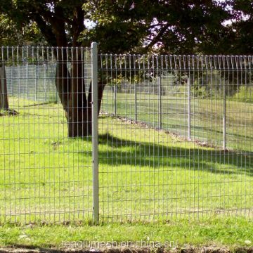 Weld Mesh Fencing