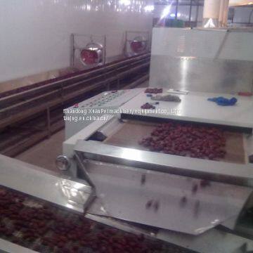 Seeds Microwave Drying Equipment