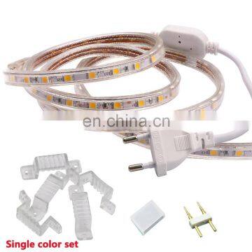 Accessories For Sing color Led Strip neon light 110V 220V  8A 2 pin ac power cord Plug Connect pin End caps PVC Clips