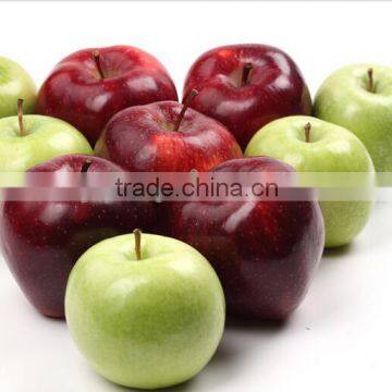 fuji apple exporter in china