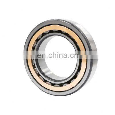 SL014936 bearing Full Complement Cylindrical Roller Bearing SL014936 NNC4936CV 180*250*69mm