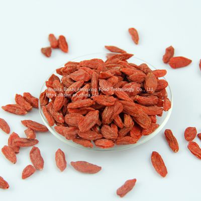 dried fruit goji berry