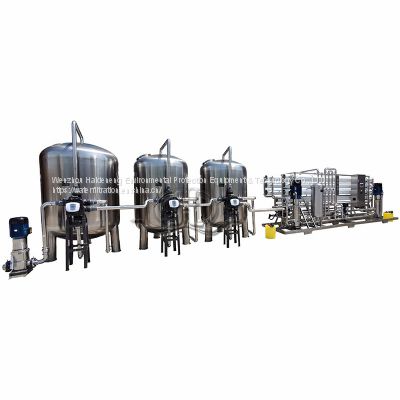 Customized 10 tons per Hour Big capacity Automatic two stage reverse osmosis water purification equipment Ro Water System