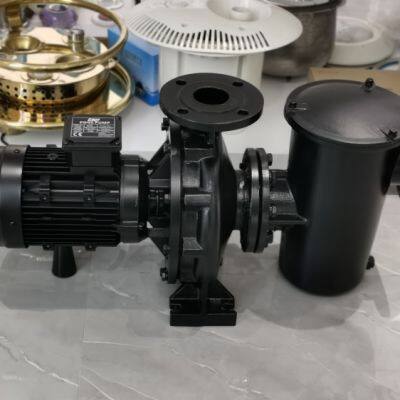 High Hose Power Pool Pump High Quality Cast Iron Water Pump photo-2